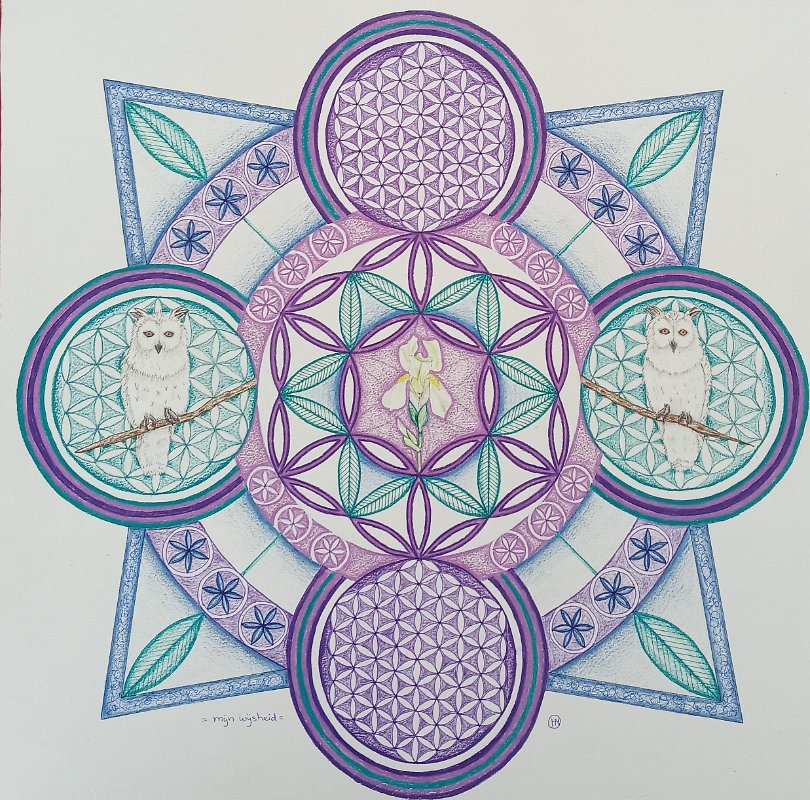 epifysechakra.j